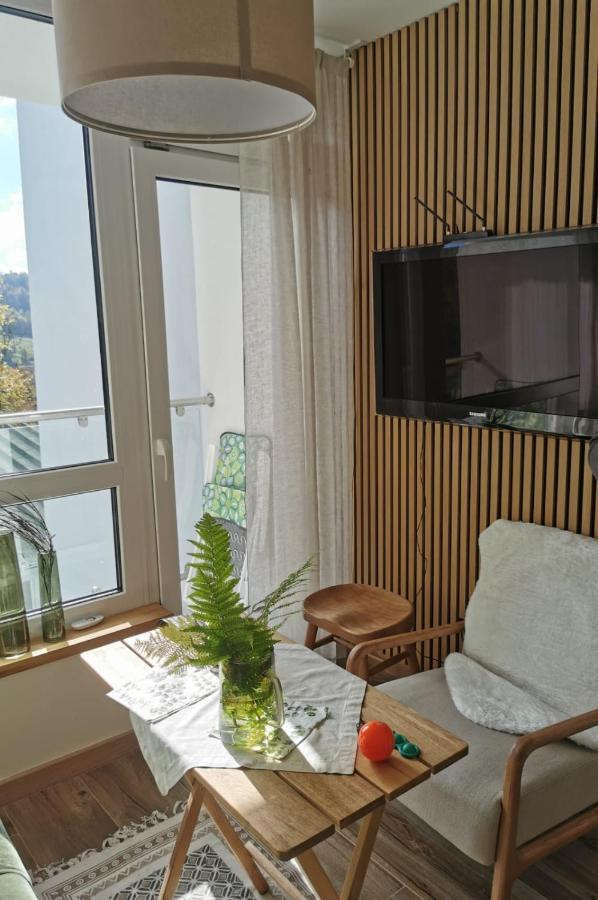Hearth Hill View Apartment Ustroń Exterior foto