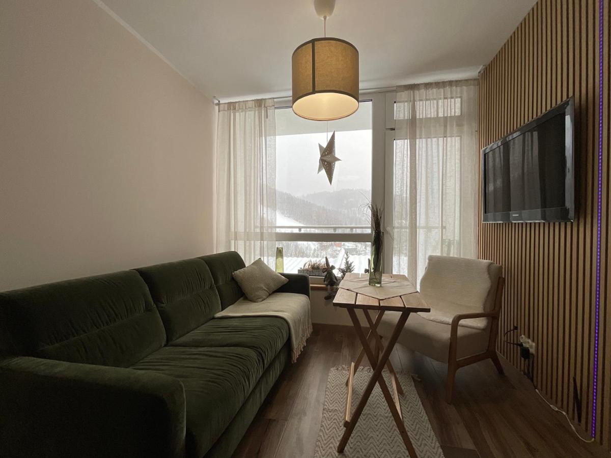 Hearth Hill View Apartment Ustroń Exterior foto